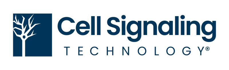 CST logo